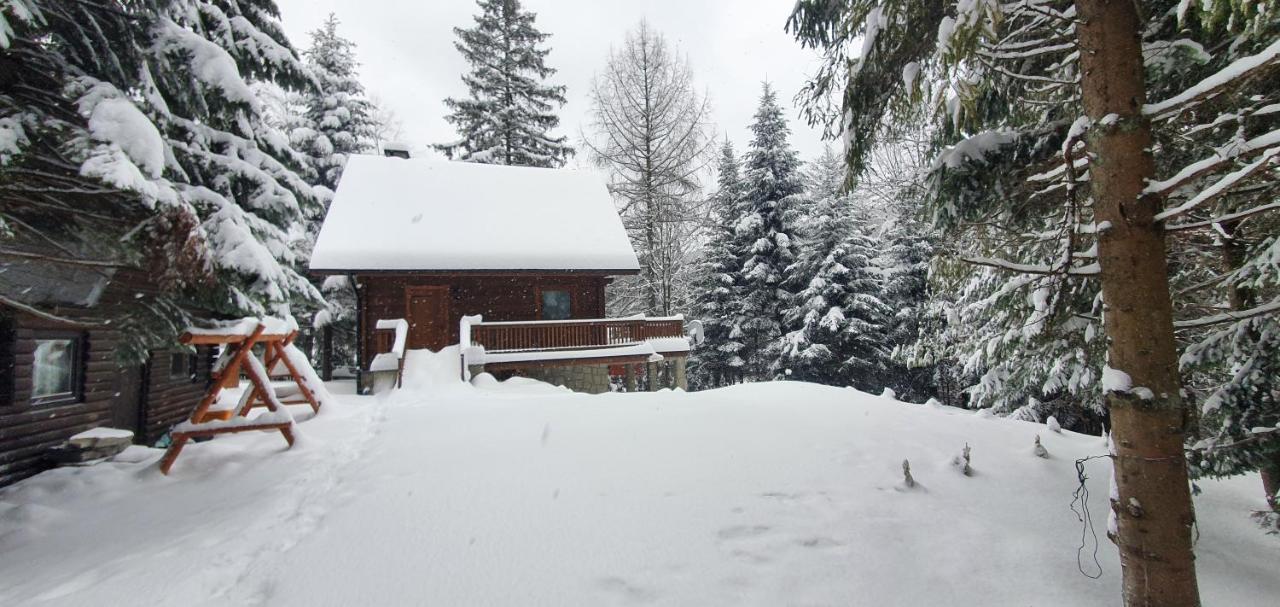 Domki Brenna Lesnica Chatka Ze Spa Kültér fotó